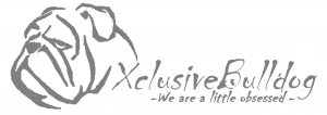 Logo Bulldog cropped
